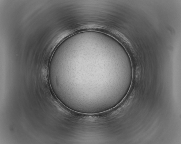 X0000113131321200909181701