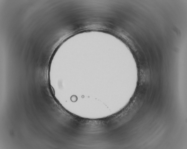 X0000113131322200909181701