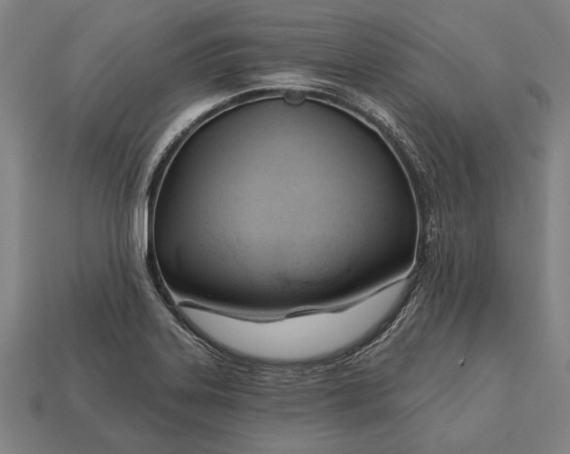 X0000113131323200909181701