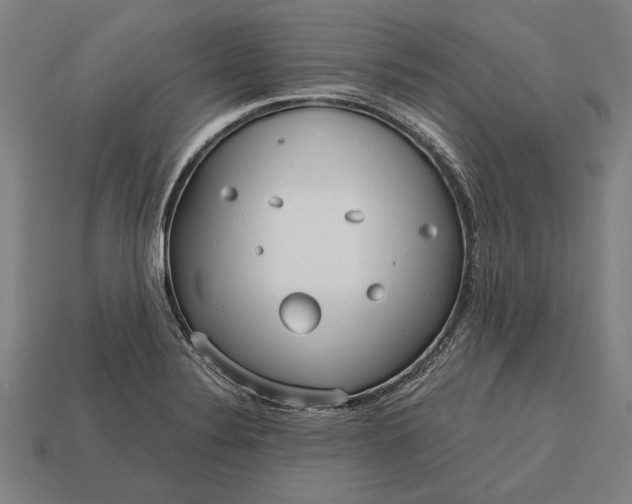 X0000113131324200909181701