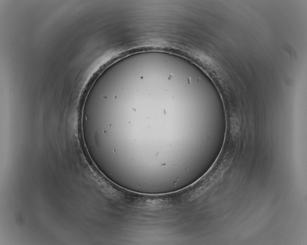 X0000113131326200909181701