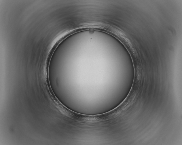 X0000113131328200909181701