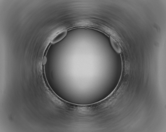 X0000113131330200909181701