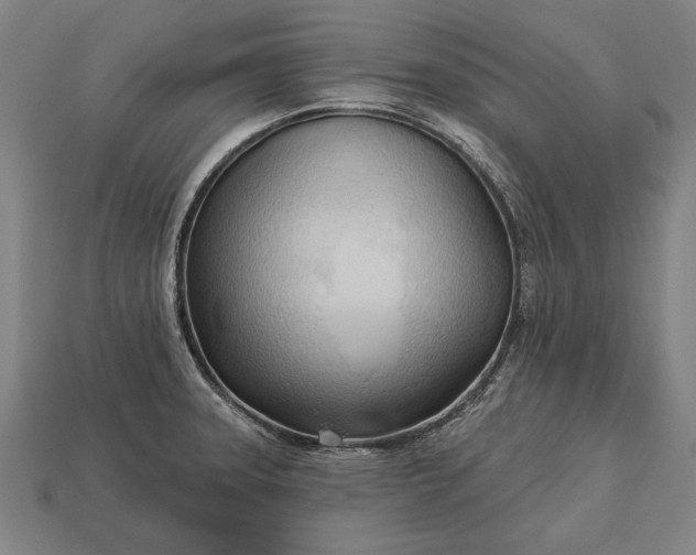 X0000113131331200909181701