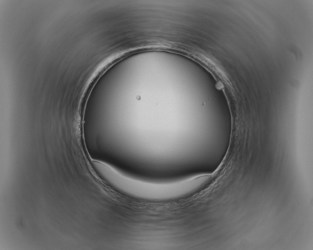 X0000113131332200909181701