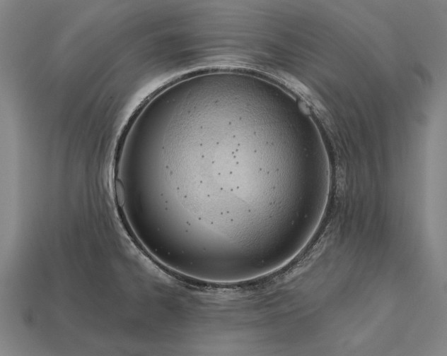 X0000113131334200909181701