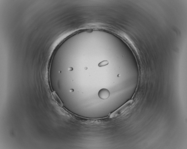 X0000113131336200909181701