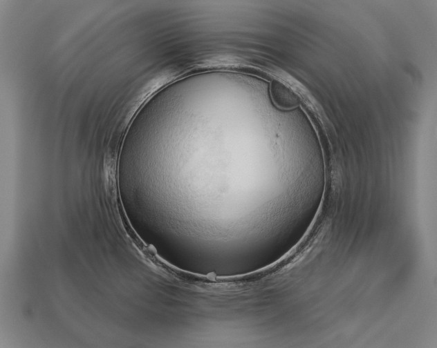 X0000113131337200909181701