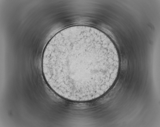 X0000113131338200909181701