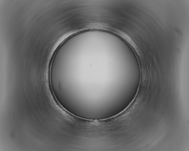 X0000113131339200909181701