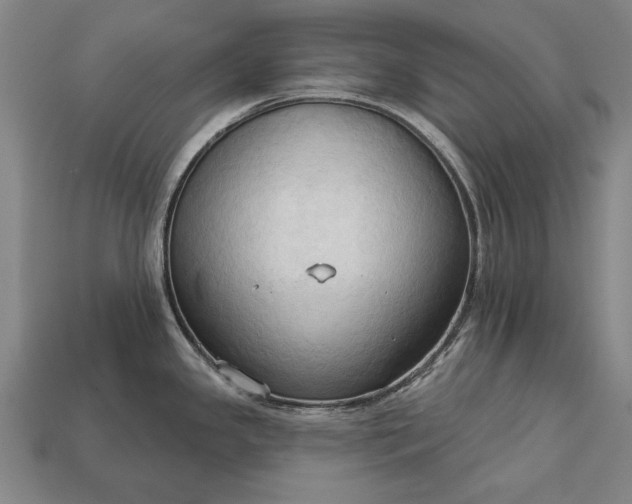 X0000113131341200909181702