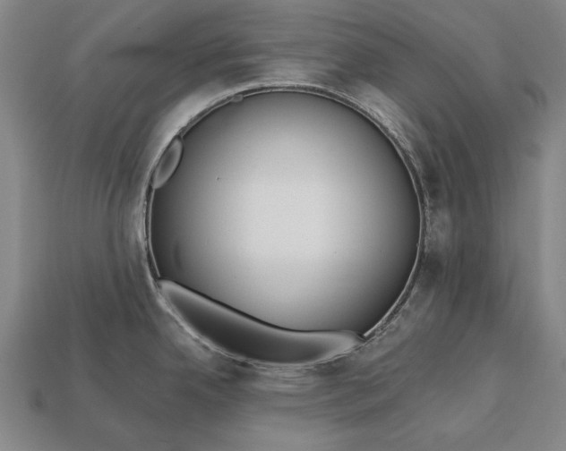 X0000113131342200909181702