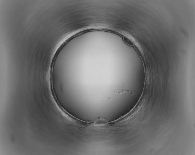 X0000113131343200909181702