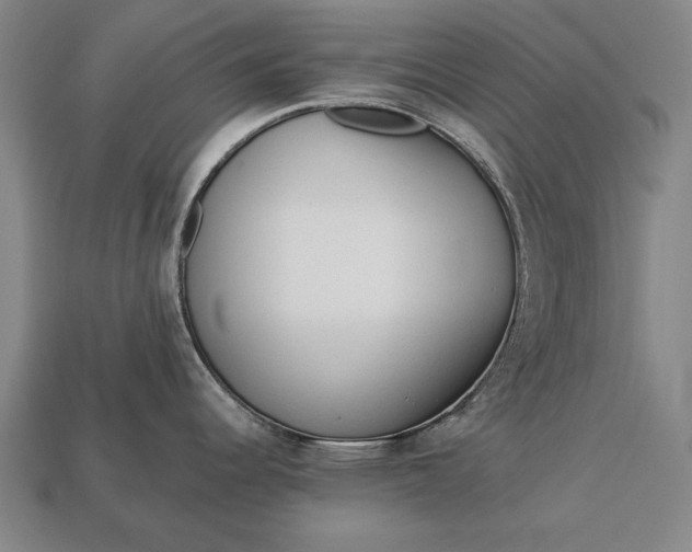 X0000113131344200909181702