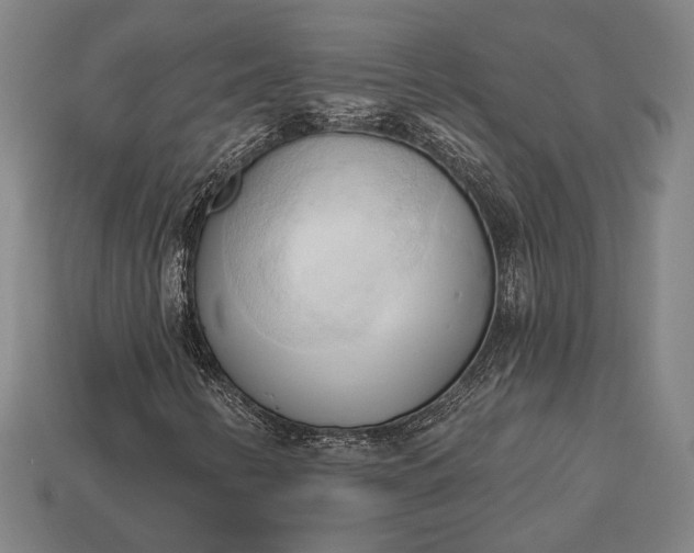 X0000113131346200909181701