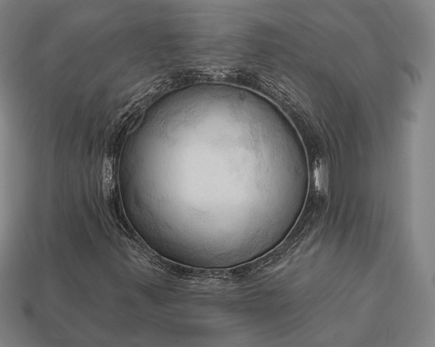 X0000113131347200909181701