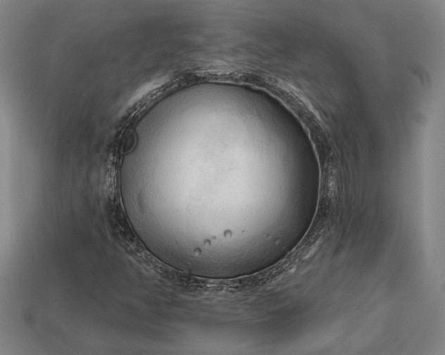 X0000113131350200909181701