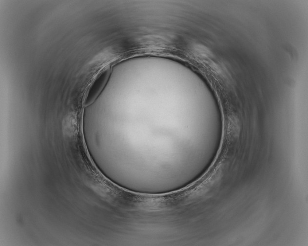 X0000113131353200909181701