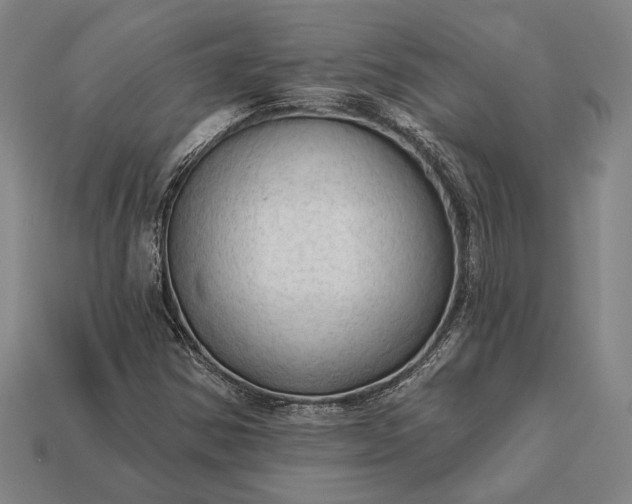 X0000113131354200909181701