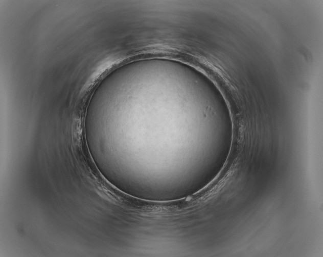 X0000113131355200909181701