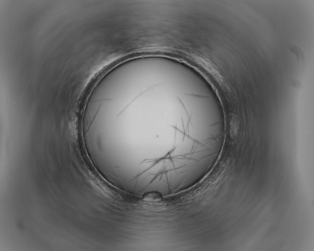 X0000113131356200909181701