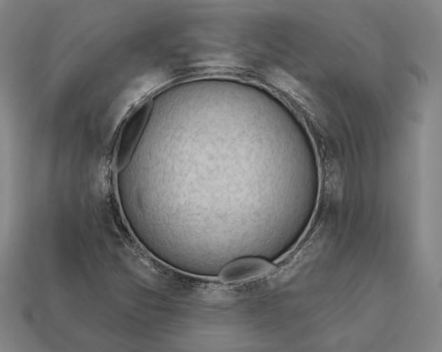 X0000113131357200909181701