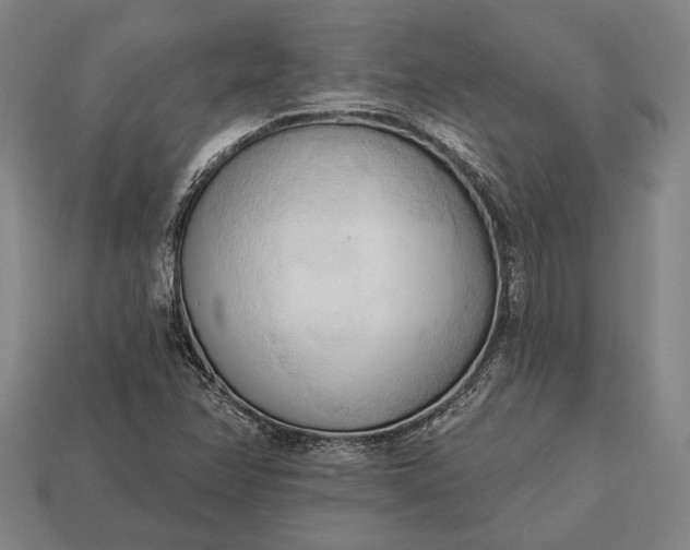 X0000113131358200909181701