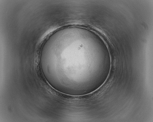 X0000113131359200909181701