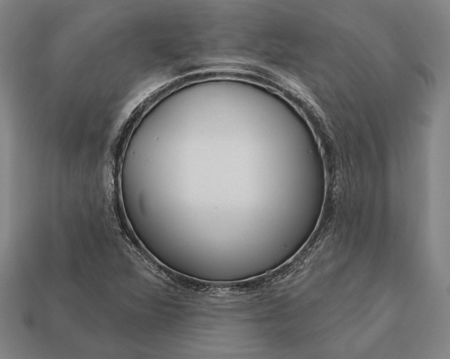 X0000113131360200909181701