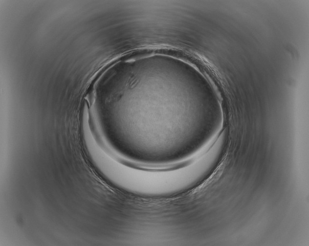 X0000113131361200909181701