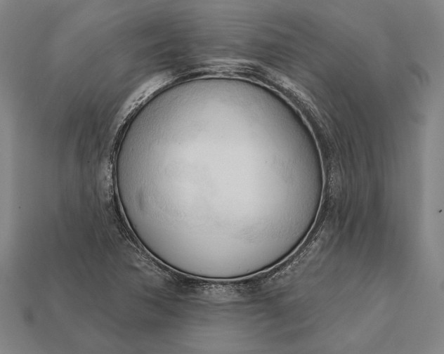 X0000113131362200909181701