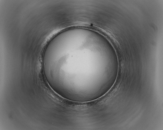 X0000113131363200909181701