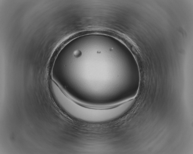 X0000113131364200909181701