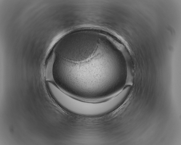 X0000113131365200909181701