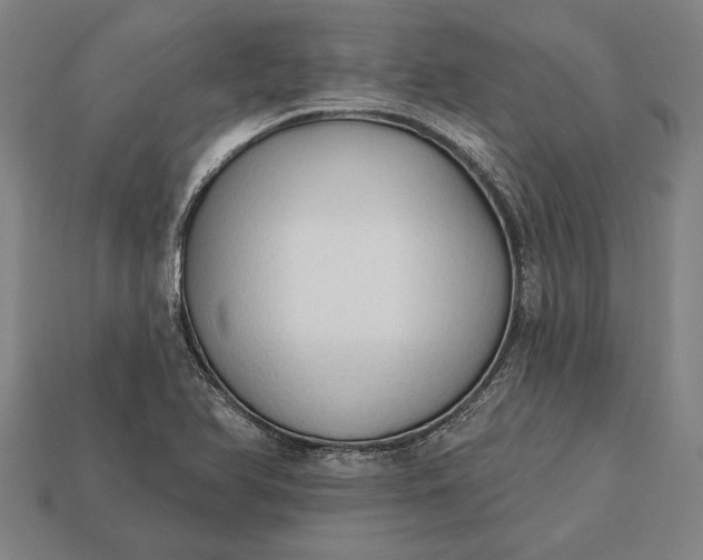 X0000113131366200909181701