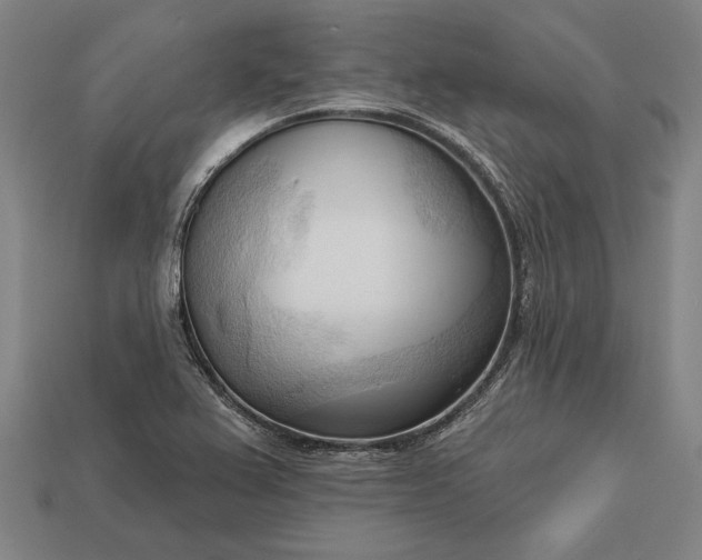 X0000113131367200909181701