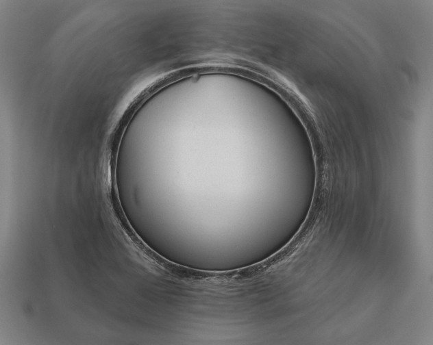 X0000113131368200909181701