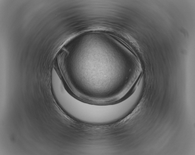 X0000113131369200909181701