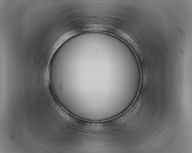 X0000113131370200909181701