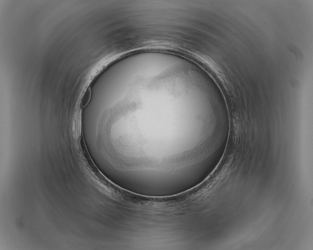 X0000113131371200909181701