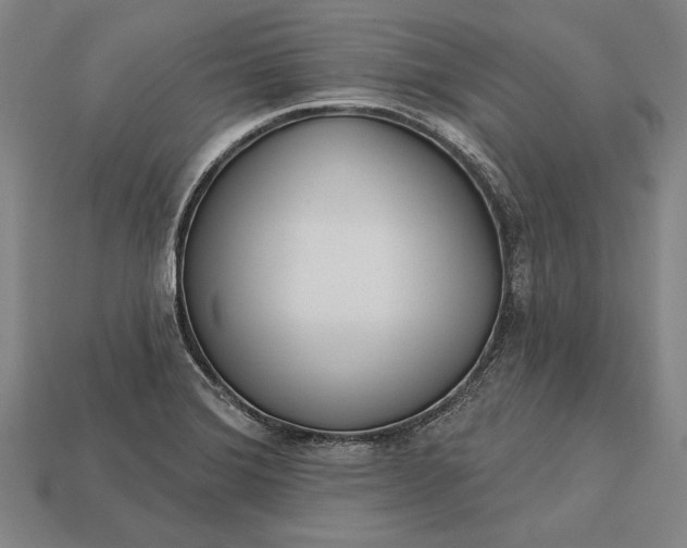 X0000113131372200909181701