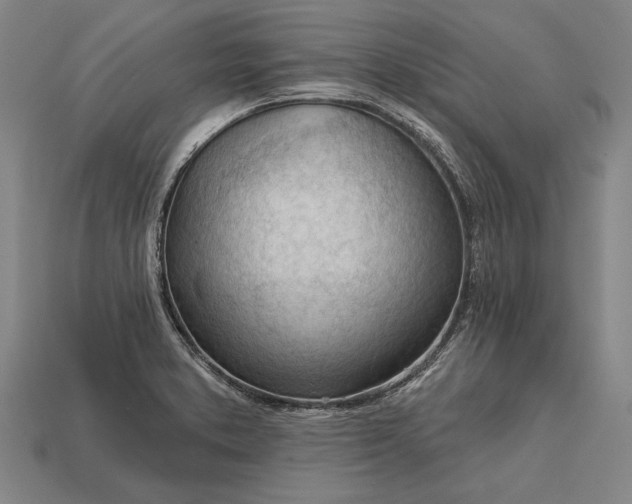 X0000113131373200909181701