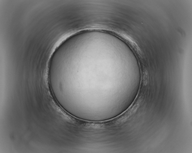 X0000113131374200909181701