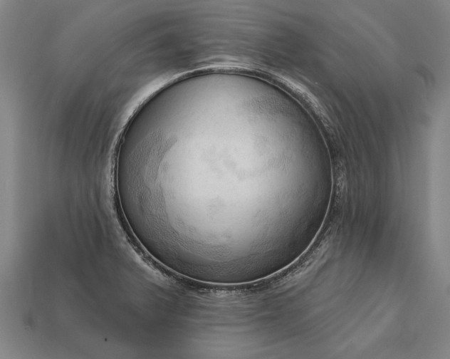 X0000113131375200909181701