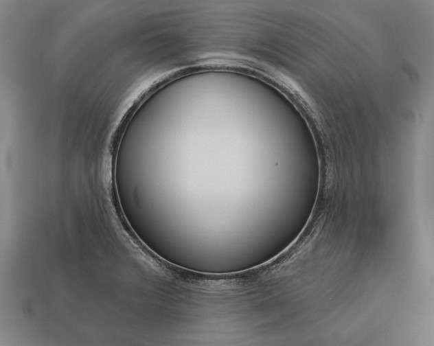 X0000113131376200909181701