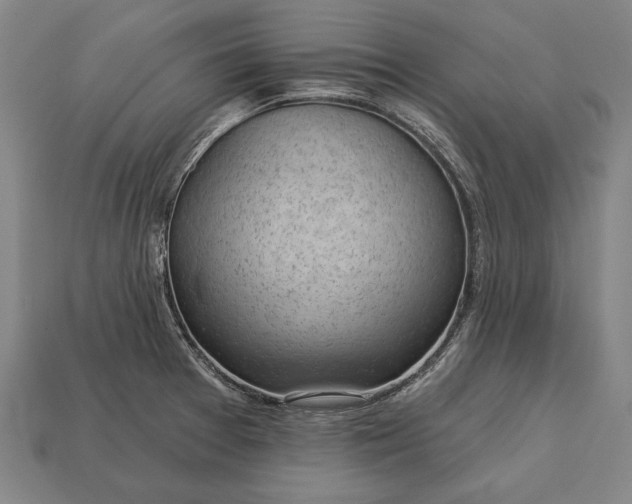 X0000113131377200909181701