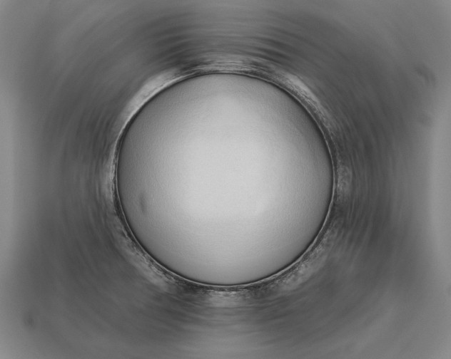 X0000113131378200909181701