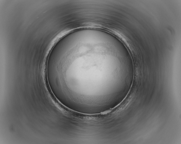 X0000113131379200909181701