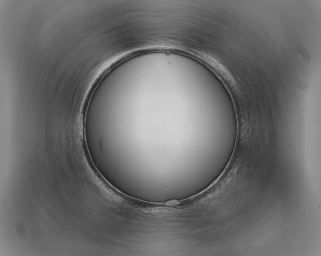 X0000113131380200909181700