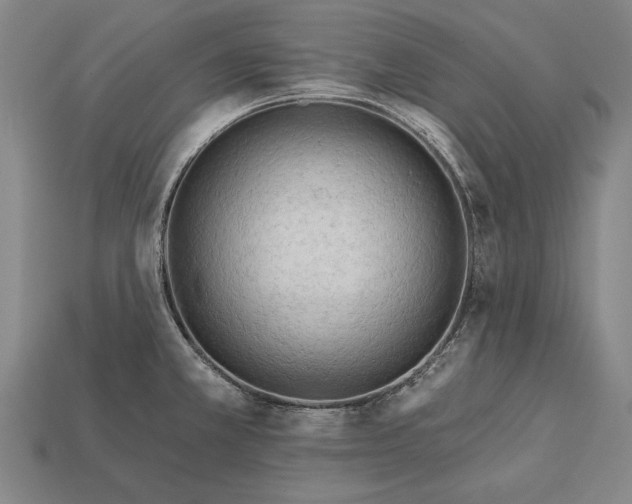 X0000113131381200909181700